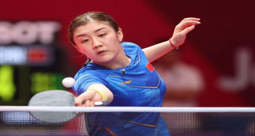 人能力和场 人能力和场