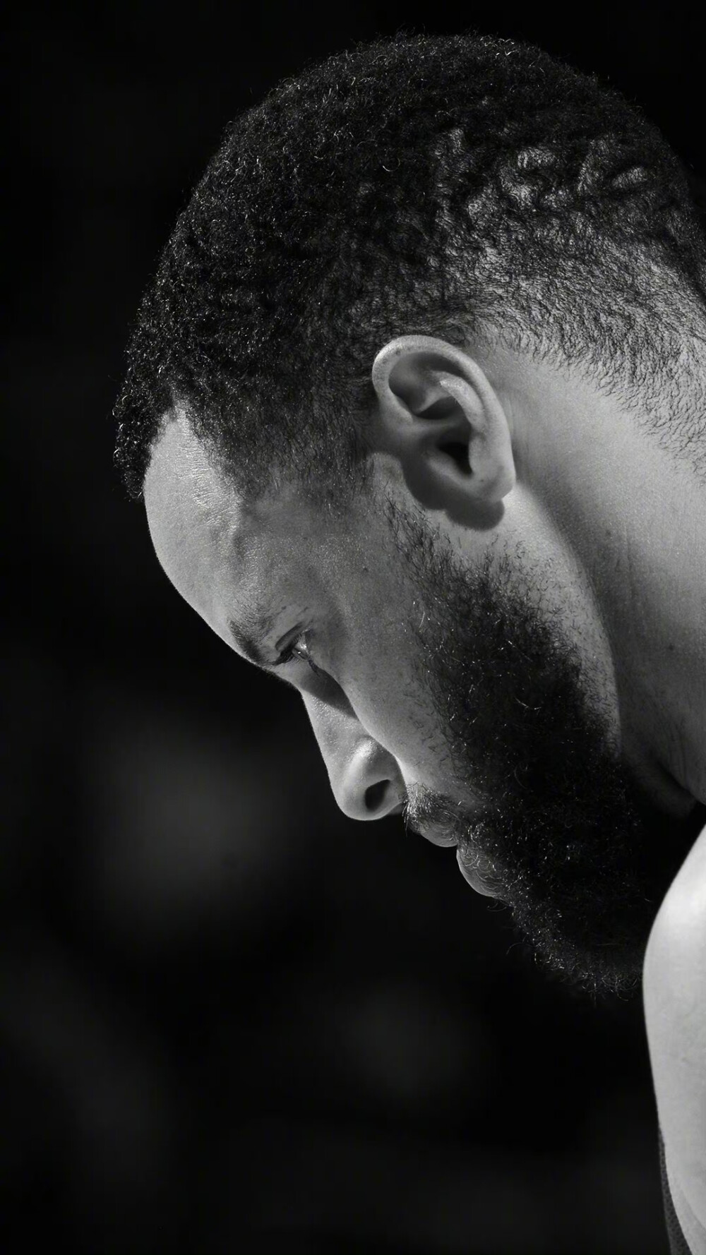 青岛海牛连 青岛海牛连